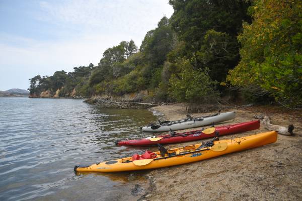 Tomales Bay Kayak Crabbing - The Lost Anchovy