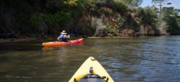 kayak rental tomales bay near point reyes