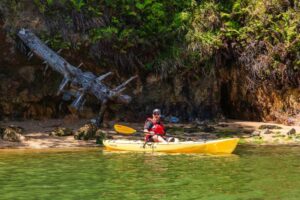 best activities in the point reyes area