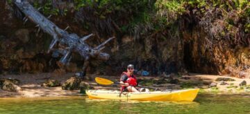 best activities in the point reyes area