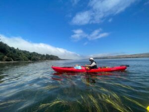 kayak tours in point reyes