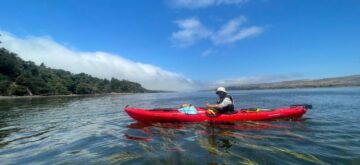 kayak tours in point reyes