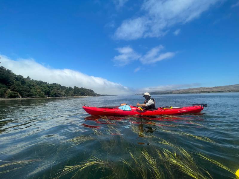 kayak tours in point reyes