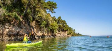 Kayaking In Marin County
