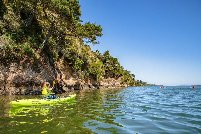 Kayaking In Marin County