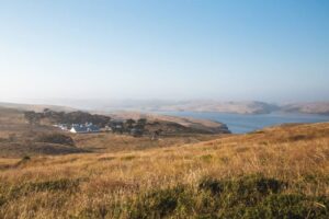 point reyes bird watching in marin county