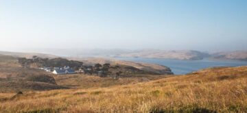 point reyes bird watching in marin county