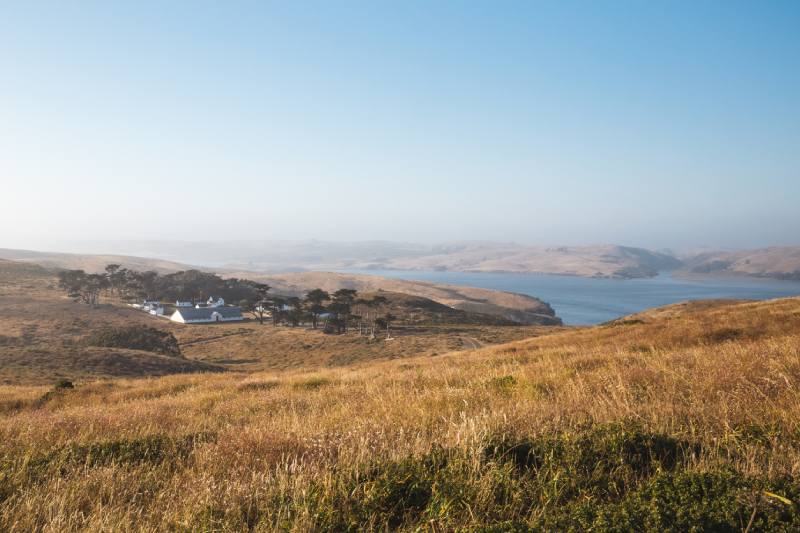 point reyes bird watching in marin county